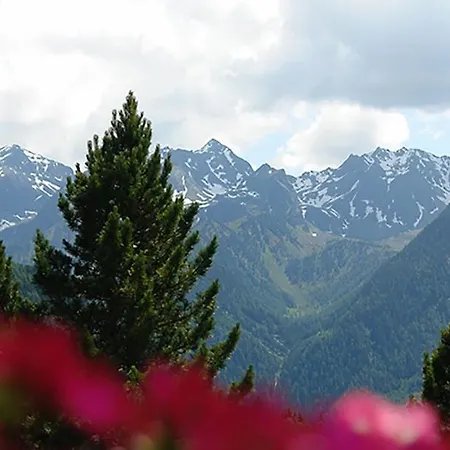 4 Personen Alleinlage Am Wald Naehe Skigebiet Hochzeiger *