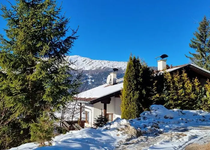 4 Personen Alleinlage Am Wald Naehe Skigebiet Hochzeiger Lägenhet