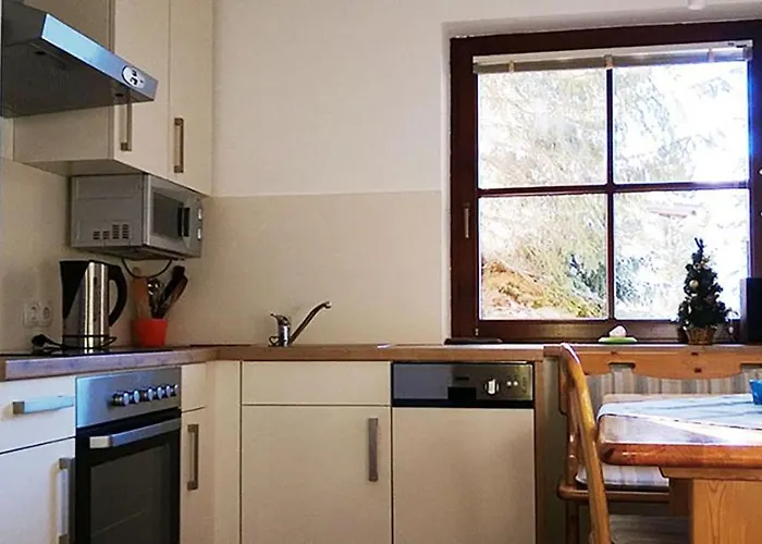 4 Personen Alleinlage Am Wald Naehe Skigebiet Hochzeiger *