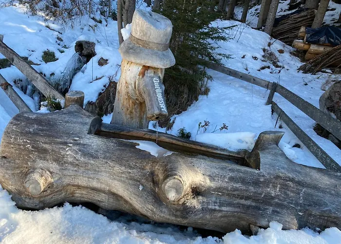 Apartment 4 Personen Alleinlage Am Wald Naehe Skigebiet Hochzeiger