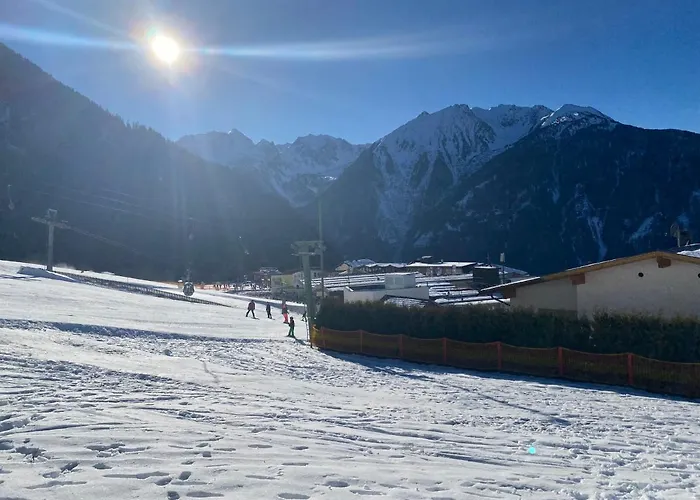 4 Personen Alleinlage Am Wald Naehe Skigebiet Hochzeiger Apartment *