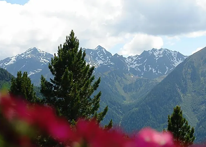 4 Personen Alleinlage Am Wald Naehe Skigebiet Hochzeiger *