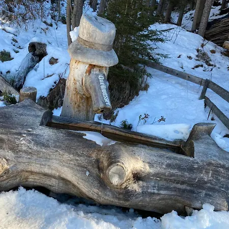 アパート 4 Personen Alleinlage Am Wald Naehe Skigebiet Hochzeiger